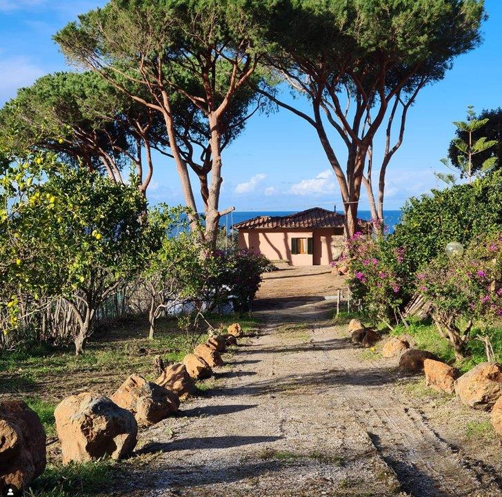 Casa Lucertola Einer der schönsten Spots auf Elba erwartet Sie zu einem Urlaub im Zeichen der Ruhe und Relax, unweit vom weißen Sandstrand von Sant’Andrea und gleich oberhalb der kleinen Bucht von Cotoncello.