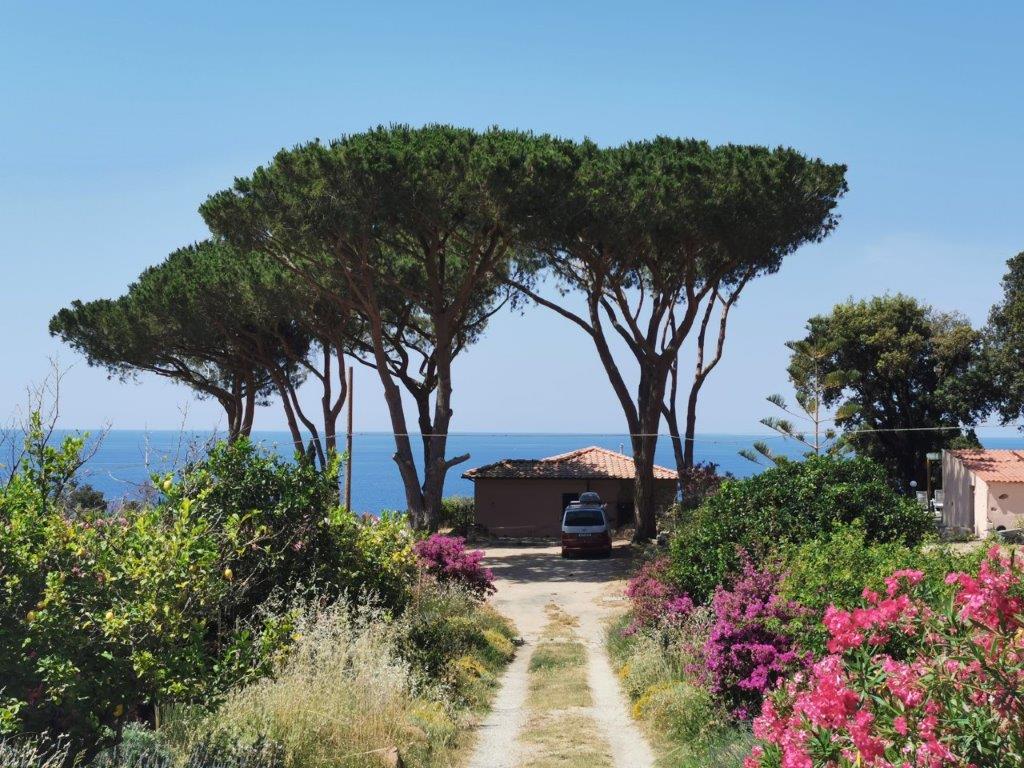 Casa Lucertola One of the most beautiful spots on Elba awaits you for a holiday of peace and relaxation, not far from the white sandy beach of Sant'Andrea and just above the small bay of Cotoncello.