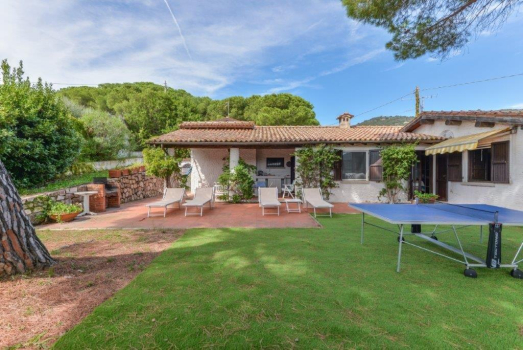 Casa La Colombaia Bellissimo casale di campagna nel cuore dell'Elba, fra Procchio e Marina di Campo. Posto strategico per chi vuole girare l'Isola. 8 letti, 3 bagni, grande giardino di 1500 mq. 